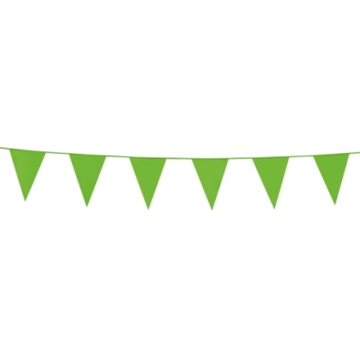 Flagbanner med Lysegrønne Vimpler 3 m