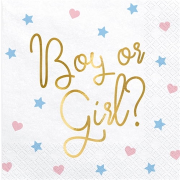 Serviet Baby Shower, Boy or Girl